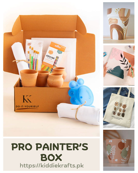 Pro Painter's Box
